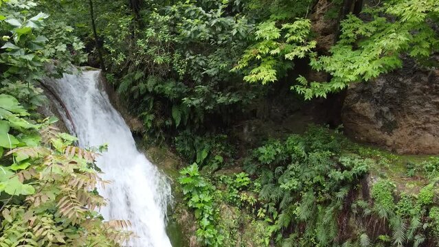 waterfall in the middel of the jungle
