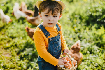 Adorable kid collecting eggs into basket on farm