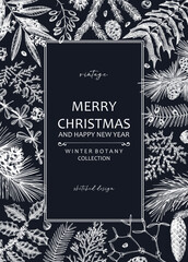 Merry Christmas card  on chalkboard with evergreen plants, conifers, and nuts drawing. Winter design with hand-drawn botanical illustrations. Vintage Christmas background, New Year invitation template