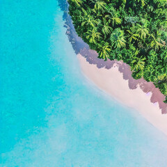 Aerial view of sandy tropical beach in summer. Aerial landscape of sandy beach and ocean with waves, view from drone. 3d