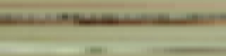 Color flix intro animation style illustration