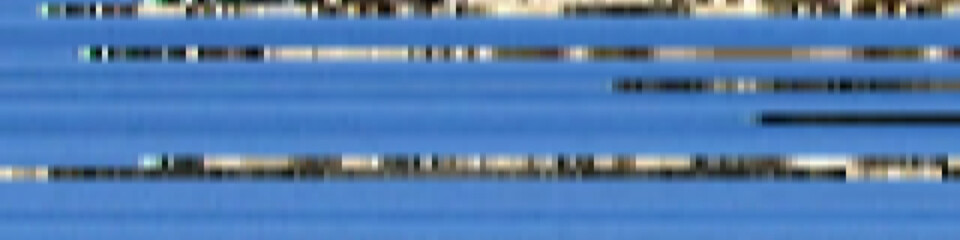 Color flix intro animation style illustration