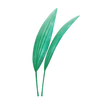 recommend clip art: Leaves Clip art Design, can be used this design to print on greeting cards, frames, mugs, 
                    shopping bags etc. whatever you want.
