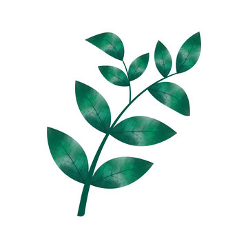 recommend clip art: Leaves Clip art Design, can be used this design to print on greeting cards, frames, mugs, 
                    shopping bags etc. whatever you want.
