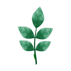 Leaves Clip art Design, can be used this design to print on greeting cards, frames, mugs, 
shopping bags etc. whatever you want.