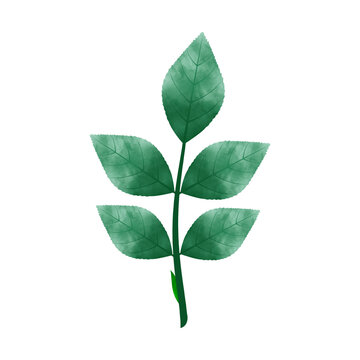 recommend clip art: Leaves Clip art Design, can be used this design to print on greeting cards, frames, mugs, 
                    shopping bags etc. whatever you want.