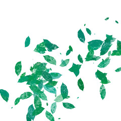 leaves overlay, abstract natural and organic texture for framing purposes, creative bio frames, leaf design for autumn marketing concept