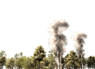 Burning forest burning trees burning forest isolated burning forest