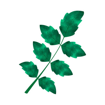 recommend clip art: Leaves Clip art Design, can be used this design to print on greeting cards, frames, mugs, 
                    shopping bags etc. whatever you want.