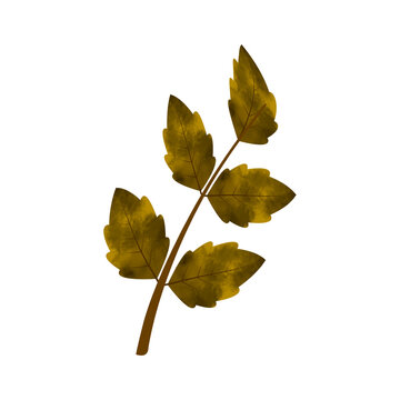 recommend clip art: Leaves Clip art Design, can be used this design to print on greeting cards, frames, mugs, 
                    shopping bags etc. whatever you want.