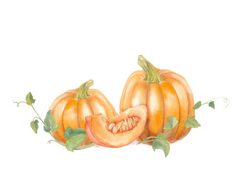 Pumpkin patch with slice and leaves. Watercolor illustration.