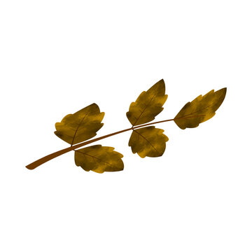 recommend clip art: Leaves Clip art Design, can be used this design to print on greeting cards, frames, mugs, 
                    shopping bags etc. whatever you want.