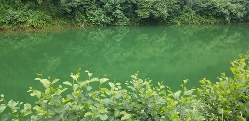 lake in green