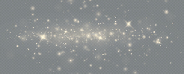 Light effect with glitter particles.Christmas dust.White sparks shine with special light.