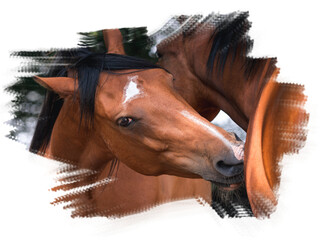 Hugging Horses