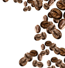 Naklejka premium coffee beans