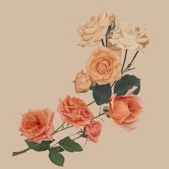 Mega collection of illustration high detail realistic white and pink rose flower for textile design and wallpaper.