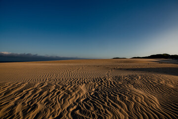 Naklejka premium moi scout 2022 