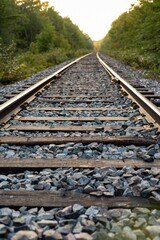 Fototapeta premium Railway track in the forest