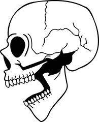 Hand Drawn side skull illustration