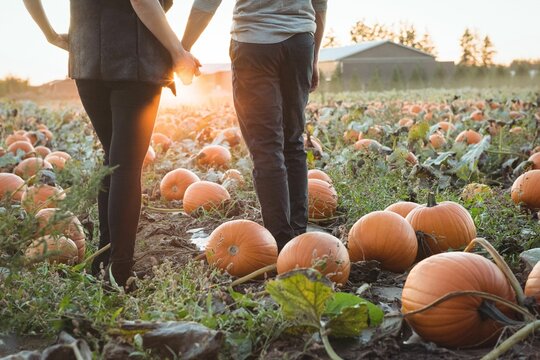 Couple at the pumpkin patch