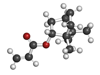 Isobornyl acrylate molecule. 3D rendering. Atoms are represented as spheres with conventional color coding: hydrogen (white), carbon (grey), oxygen (red).