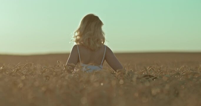 Blonde woman walks through a wheat field, a profile view. Woman touches the ears with her hands, tall and golden ears of wheat. Endless expanses of wheat fields. View from the back. 4k, ProRes