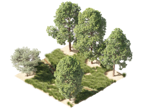 tree and grass on isometric