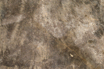 Cement floor for wallpaper or background.