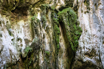 Cave walls overgrown with moss