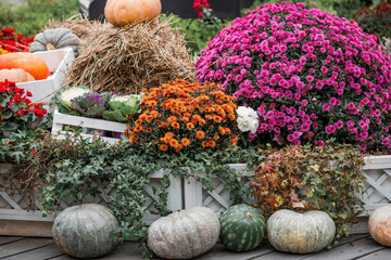 Obraz na płótnie Canvas Decorative pumpkins from the Golden autumn festival in Moscow, near red square, the Kremlin. Halloween decor with various pumpkins, autumn vegetables and flowers. Harvest and garden decoration.