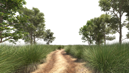 Rural road near a green grass field and trees passing along a dirt path muddy road