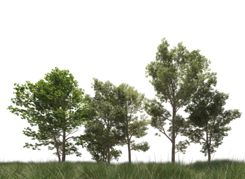 tree line on the grass