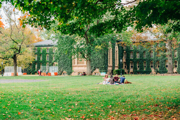 autumn in the garden