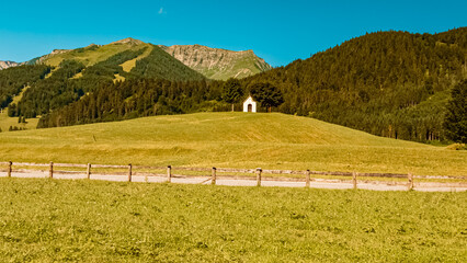 Fototapeta na wymiar Beautiful alpine summer view near Achenkirch, Tyrol, Austria