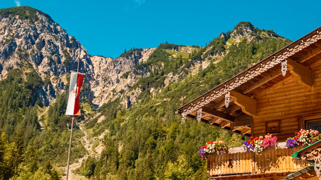 Beautiful alpine summer view at the famous Gern Alm, Achensee, Tyrol, Austria