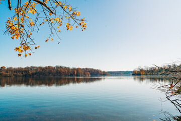 autumn trees on the lake