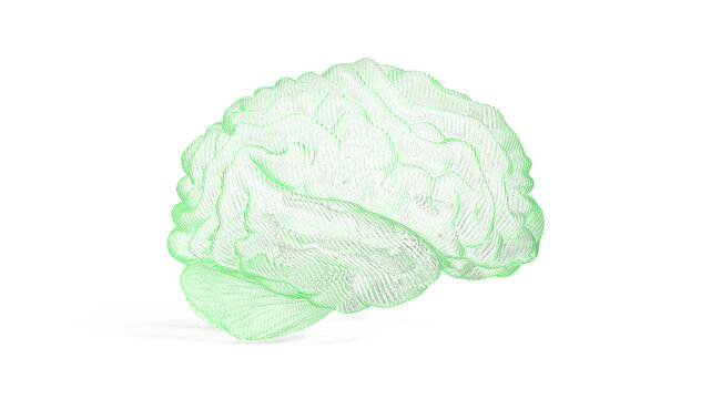3d render glass brain transparent with a green tint on the former background, the concept of artificial intelligence