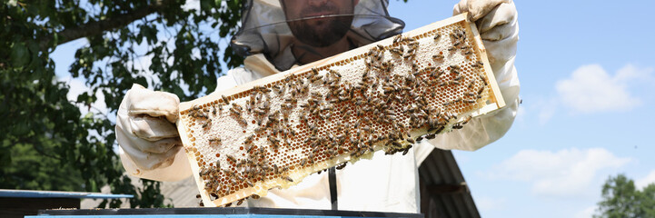 Beekeeper in mask and protective suit holds honeycomb with bees closeup