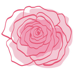 Pink Rose Bud Flower Floral Doodle Line Art Hand Drawing Vector Illustration
