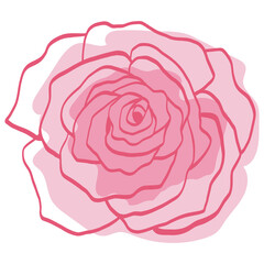 Pink Rose Bud Flower Floral Doodle Line Art Hand Drawing Illustration
