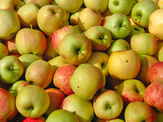 background of multicolored apples on a display