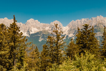 Beautiful alpine summer view at the famous Astberg summit, Going, Wilder Kaiser, Tyrol, Austria