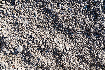Large coarse wet sea sand consisting of fragments and debris sea shells. A great background for your design.Sea voyages. Copy space.