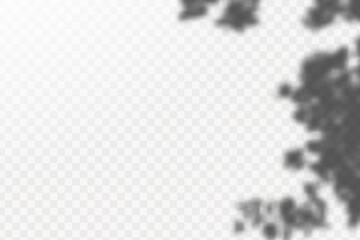 Realistic shadow of tropical leaves or branches on transparent checkered background. The effect of overlaying shadows. Natural light layout.