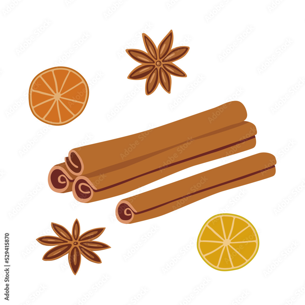 Wall mural set with cinnamon, dried orange and anise isolated on white background. cartoon spice vector illustr