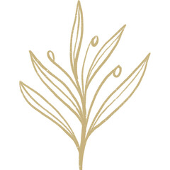 Simple linear plant flower leaf. Hand drawn botanical illustrations