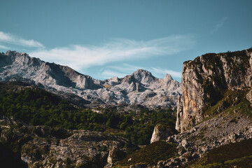 Picos de Europa