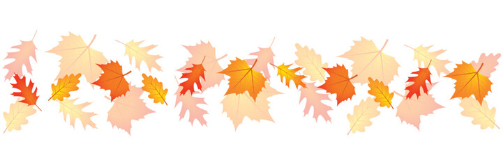 set of autumn leaves in the wind on white background