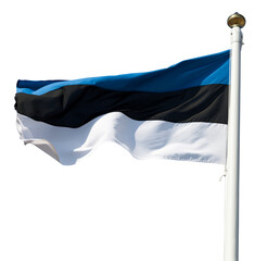 Estonia flag cutout on white